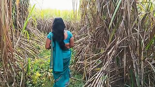 Today I Kicked My Wifes Ass in a Sugarcane Field and Shot an Indian Sex Video