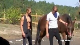 Muscle Gay Sex