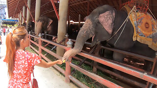 Thai Jouit, Couple