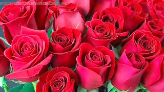 Bangla choti golpo total story in Bangla audio story new bangla choti full story in Bangla audio story new full Bangla choti