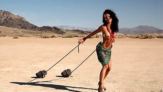 パロディー, アナル