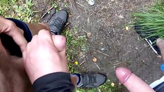 Homo