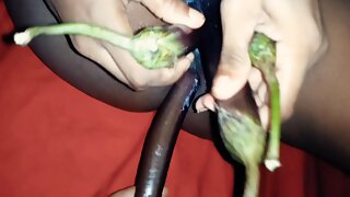 Desi Houswife 4 Begun Masturbation Sex Video