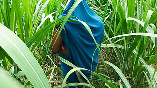 Desi Bhabhi Fuck in Sugarcane Field