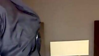 Shemales On Shemale Porn