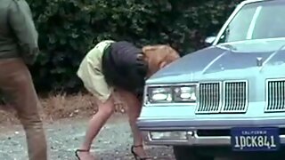 Xxx Vintage, Vintage Fellation, Orgies Vintage