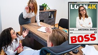Kousen, Tjechisch, Kantoor, Natuurlijk, Realiteit, Boss