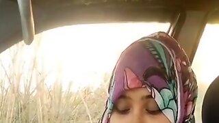 Hindi Publicplace Lover Sucking Cock In Car