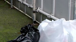 青少年, 日本人, 亚洲人, 大屁股, 猫
