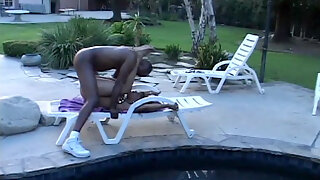 Vendimia, Polla Grande