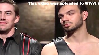 Gay