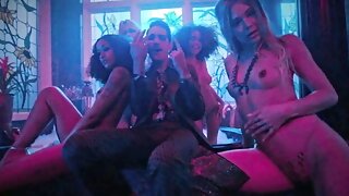 Strippari