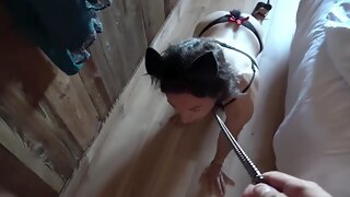 Francaise Amateur Couple, French Soumise, Orgasme Soumise