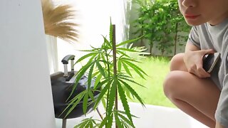 接吻