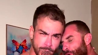 Gay