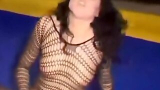 Catfight