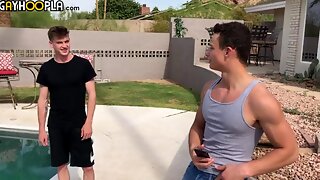 Schwul, Gay