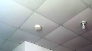 Française, Voyeur