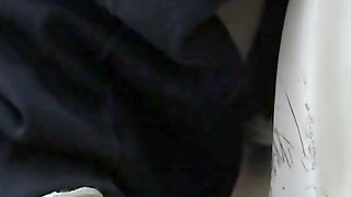 Pooping In The Toilet