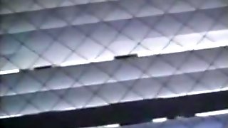 Pute