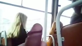 Bus Flash, Publique Bus, Bus Strapon