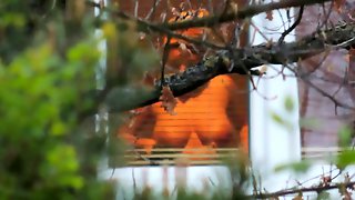 Hidden Spy Voyeur Window