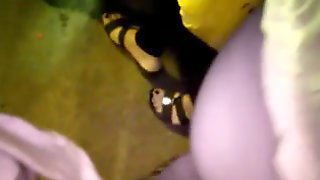 Encoxadas