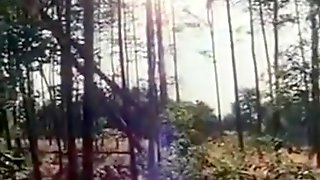 Divertenti, Classico, Film Completo