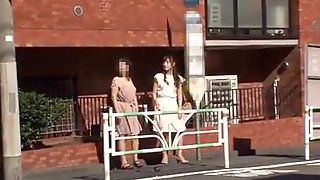 Japanese Molester