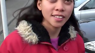 Hollandaise, Dutch, Asiatique