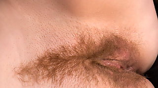 Anilos Hairy