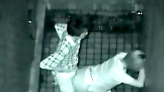 Voyeur