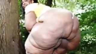 Fat