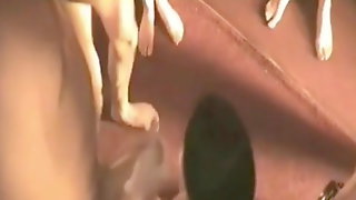 Amateur British Gangbang