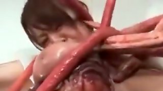 Tentacle Japanese