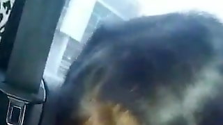 Tamil Girl Blow in Car