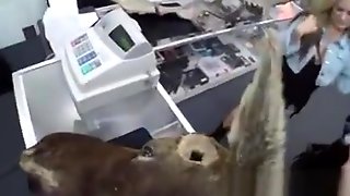 Hidden Cam On Lesbian