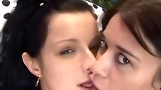 Zia