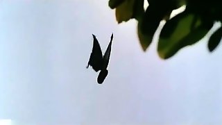 French Vintage Striptease