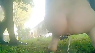 Girls Peeing Outside Voyeur