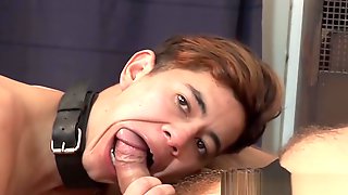 Asian Gay Blowjob