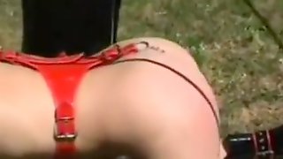 Féssée Francaise
