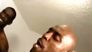 Bbc Hypno