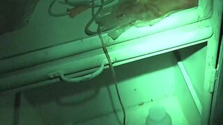 Ghost Porn, Zombie, Horror Porn, Ghost Fuck