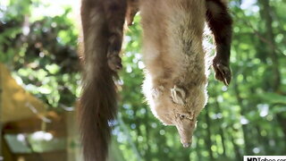 Demon, Horror Sex Videos