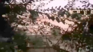 Mature Group Sex Parties