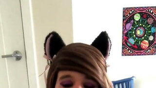 Adorable Kitty