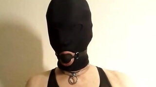 Homo
