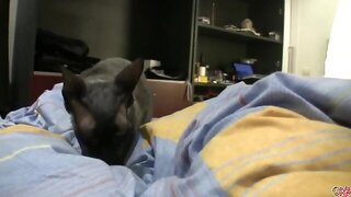 Abigaile Johnson Anal