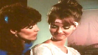 Big Natural Tits Hairy